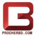 ProcherBD – Smart Digital Solutions