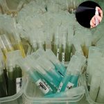 10 Pics Testy Perfume