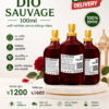 Dio Sauvage